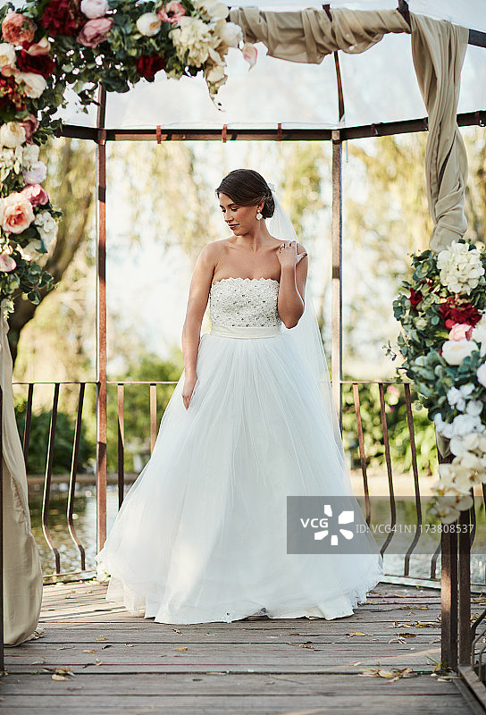 美丽的新娘图片素材