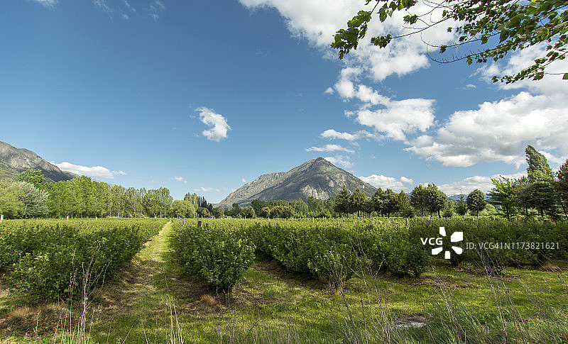 生产山谷中的山丘-农场图片素材