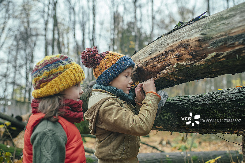 快乐的小男孩和女孩在森林里探索秋天的自然图片素材
