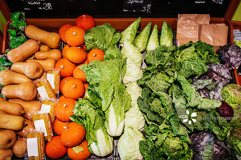 南瓜、生菜和卷心菜鸟瞰图片素材