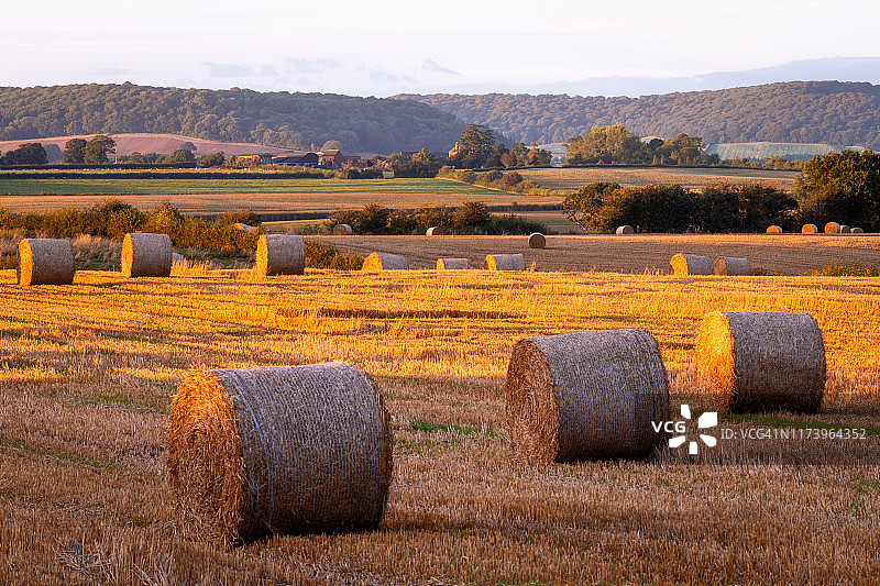 赫里福德郡的日落草垛图片素材