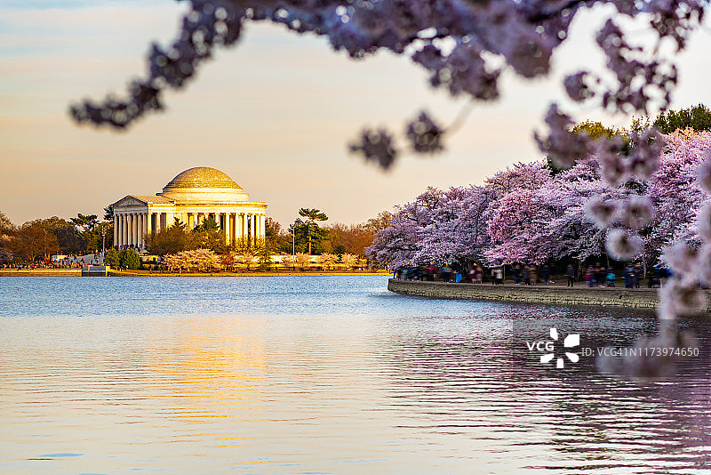 美国华盛顿特区国家樱花节和杰斐逊纪念堂图片素材
