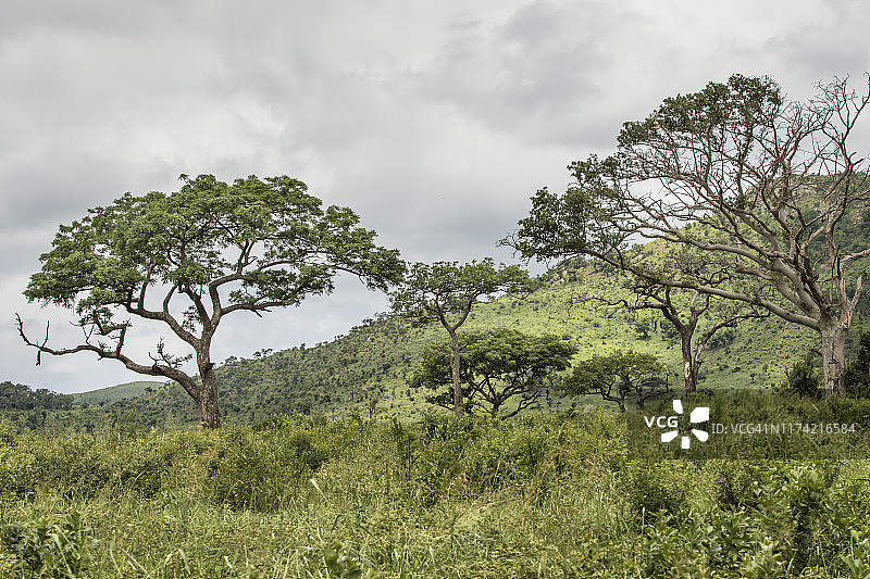 赫卢赫卢韦公园图片素材
