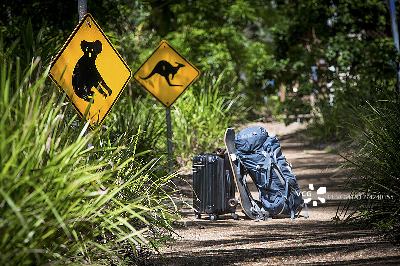袋鼠和考拉标志，展示野生动物图片素材