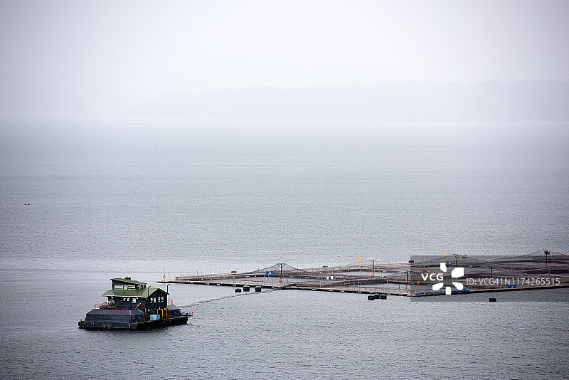 铁丝网与塑料，智利南部图片素材
