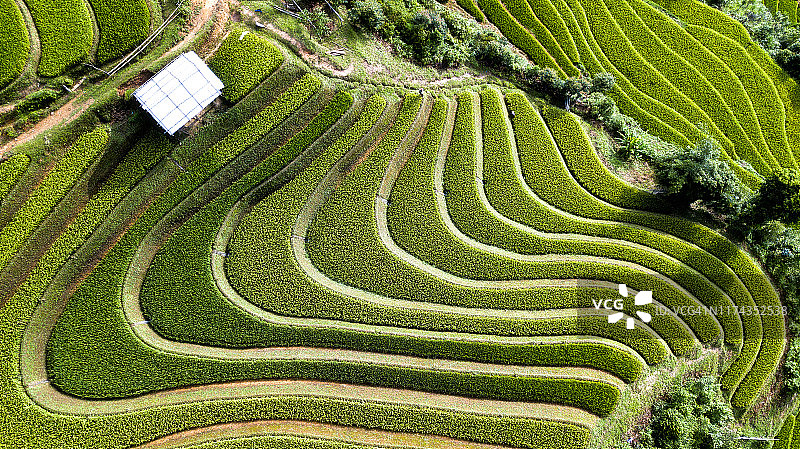 航拍：越南木江界梯田图片素材