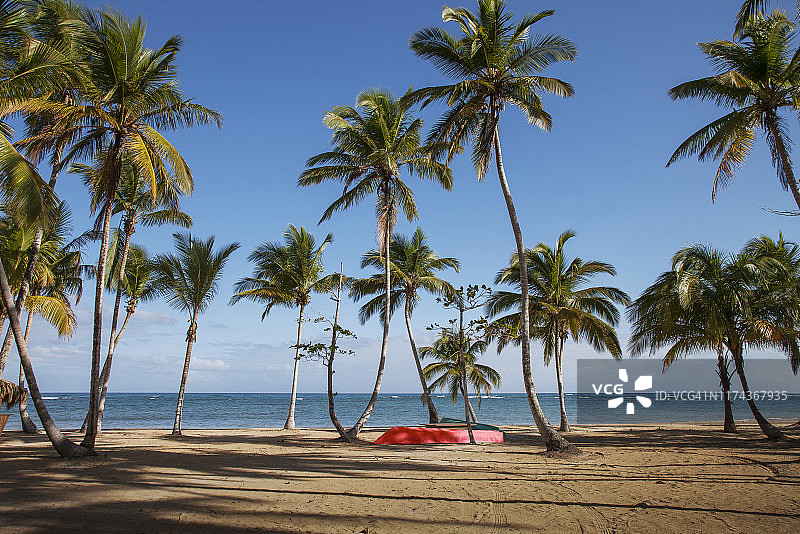 多米尼加共和国拉斯特伦纳斯海滩棕榈树下的红色小船图片素材