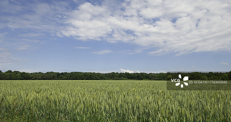 法国卢瓦尔河谷的农田图片素材