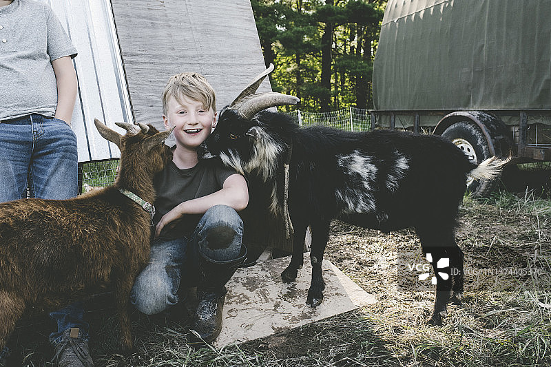 在农场和小羊羔玩耍的小男孩图片素材