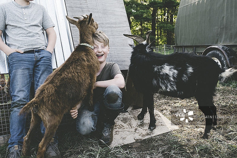 在农场和小羊羔玩耍的小男孩图片素材