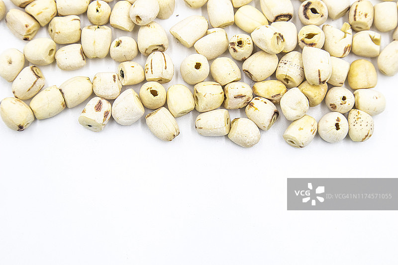 白色背景下的莲子图片素材