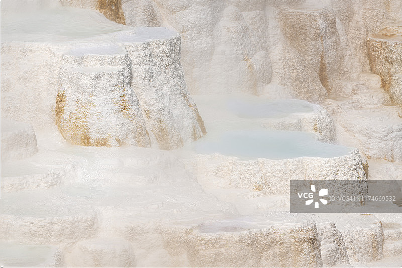 加那利春季图片素材