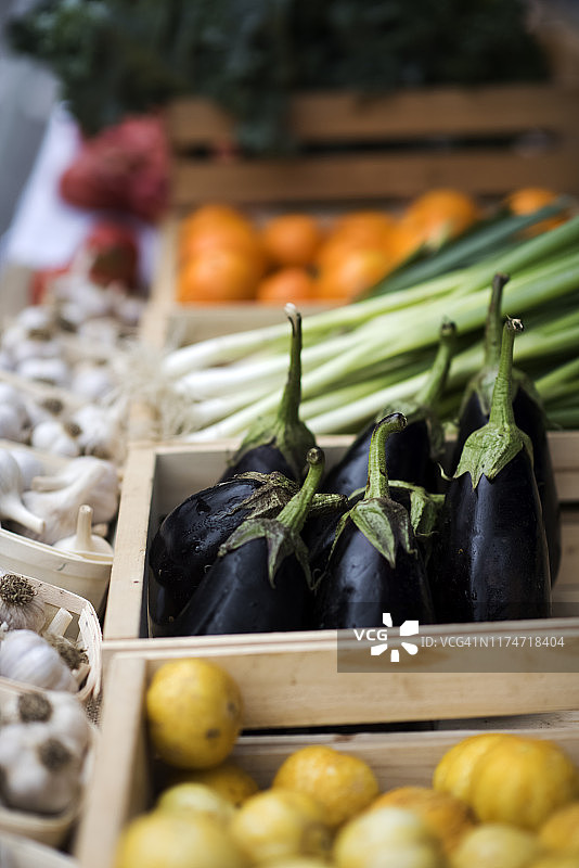 茄子和蔬菜图片素材