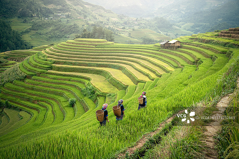越南西北部木江界沙坝梯田的苗族人图片素材