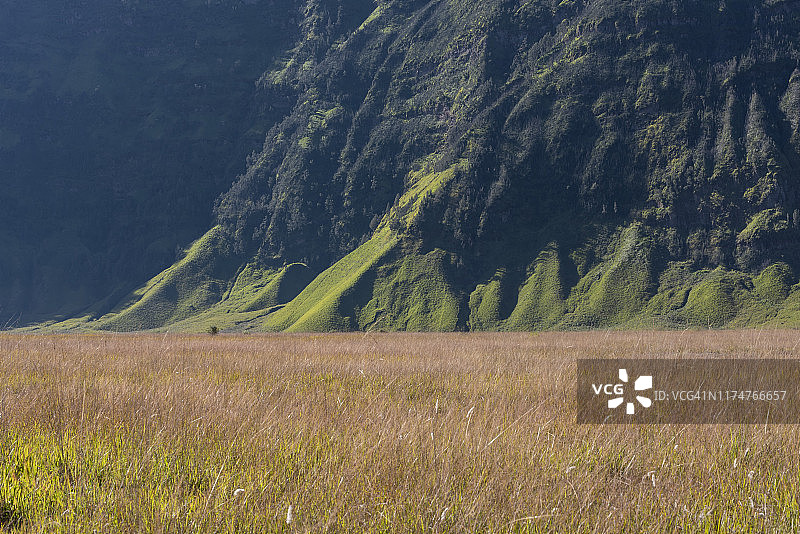 布罗莫山下的草坪图片素材