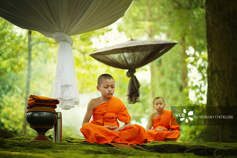 在大树下冥想的年轻僧侣图片素材