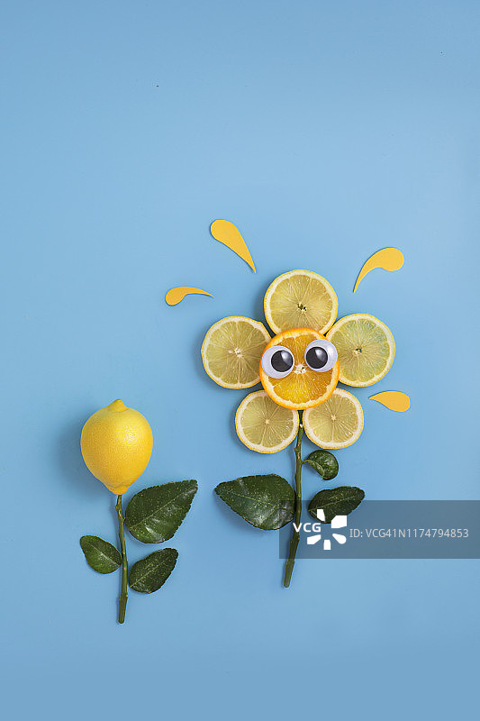 柑橘柠檬静物概念图图片素材