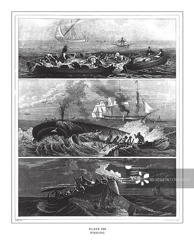 南美洲古董雕刻插图，1851年出版图片素材