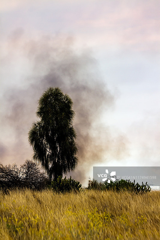 澳大利亚偏远地区燃烧的火灾图片素材