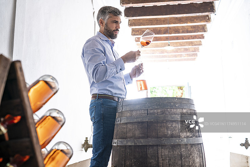 在酒窖中由酿酒专家进行的葡萄酒品尝图片素材