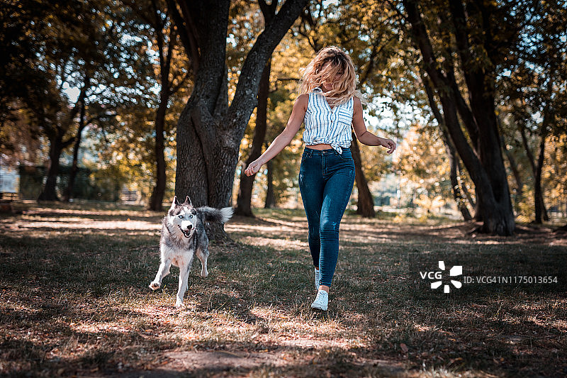 快乐的女人带着哈士奇在公园里跑步图片素材