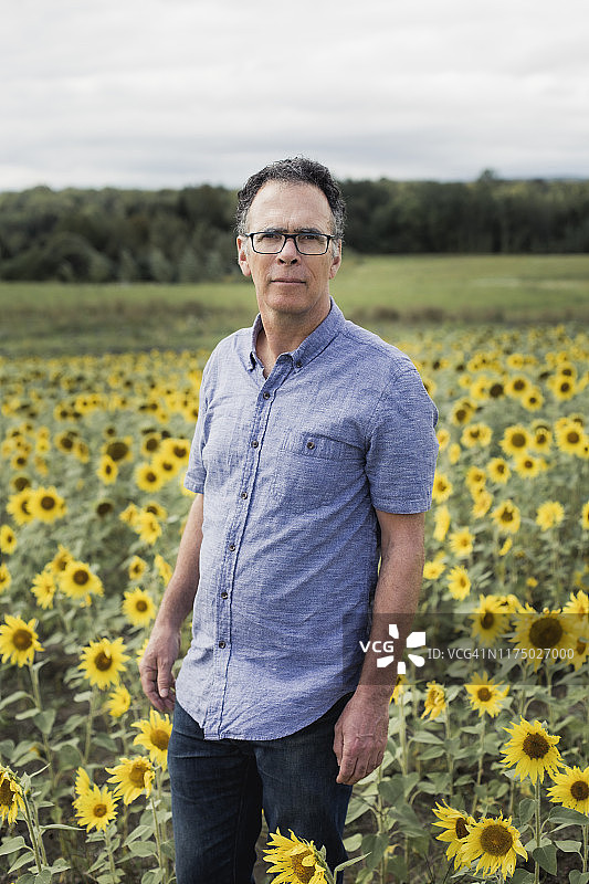 向日葵田里的中年男人图片素材