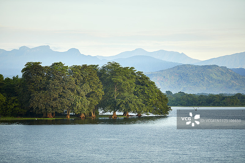 乌达瓦拉维国家公园水库半岛景观，斯里兰卡图片素材