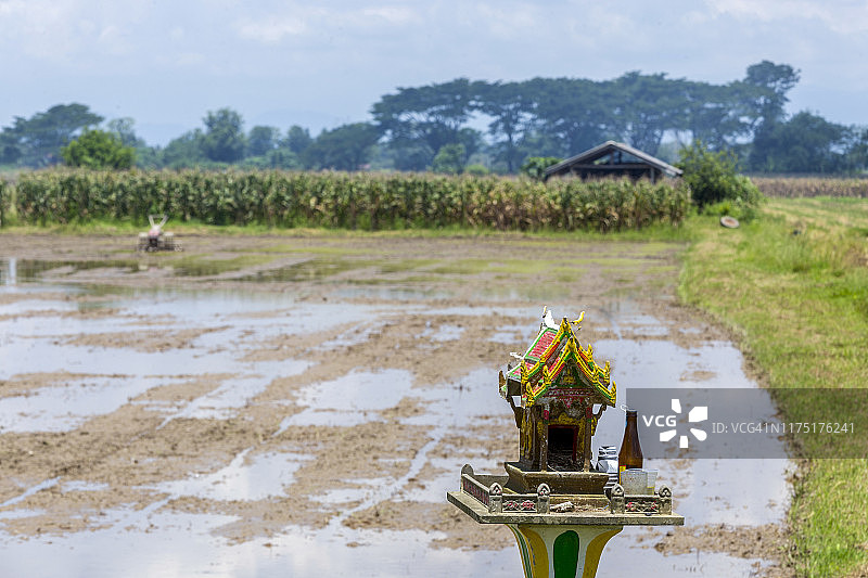 稻田中的祭祀屋图片素材