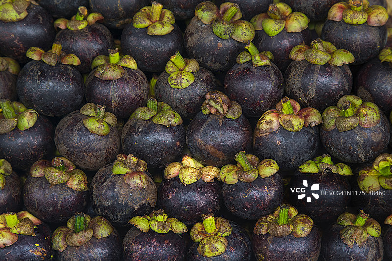 山竹果图片素材