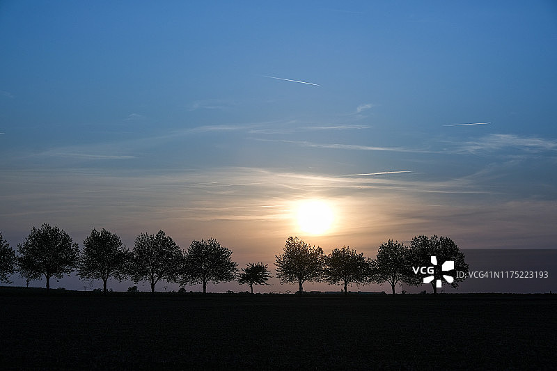 日落时分法国新阿基坦乡村的树木图片素材