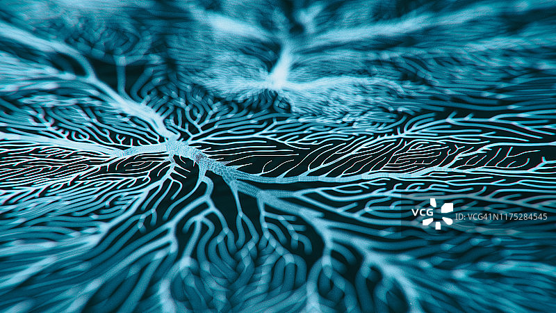 神经元系统图片素材