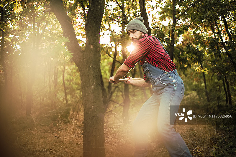 森林中的伐木工人图片素材