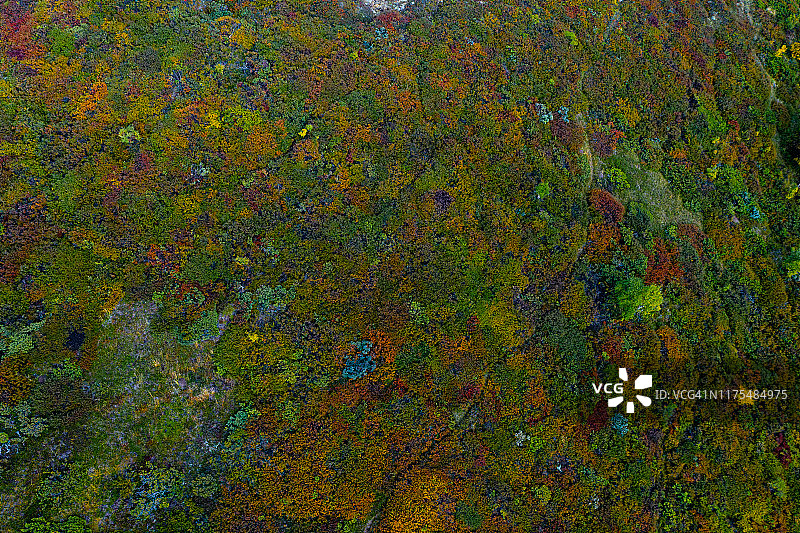从上方看到的彩色山地/草地 - 抽象秋季图像图片素材