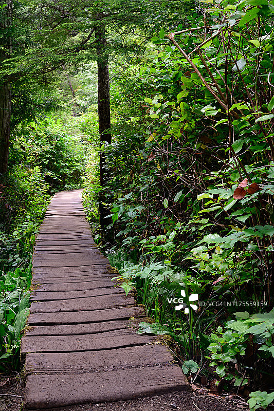 华盛顿弗拉特里角图片素材