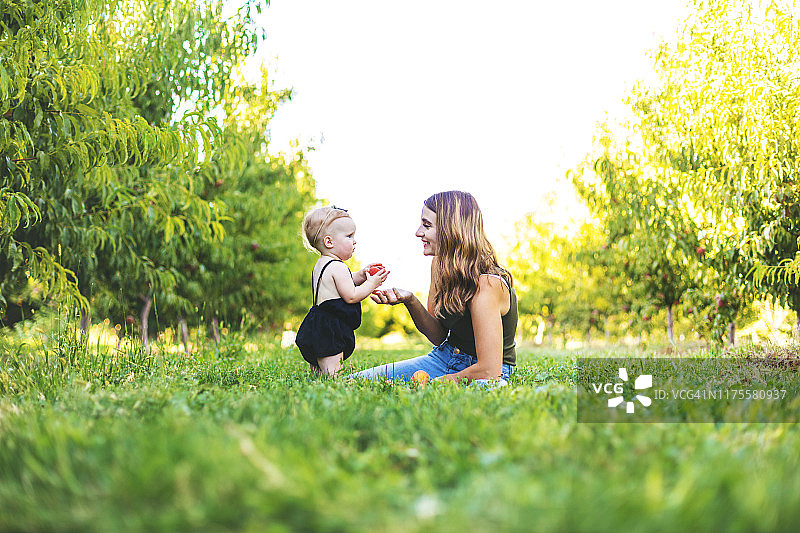 Y世代千禧一代年轻母亲和她年幼的女儿在科罗拉多州大章克申的桃园里图片素材