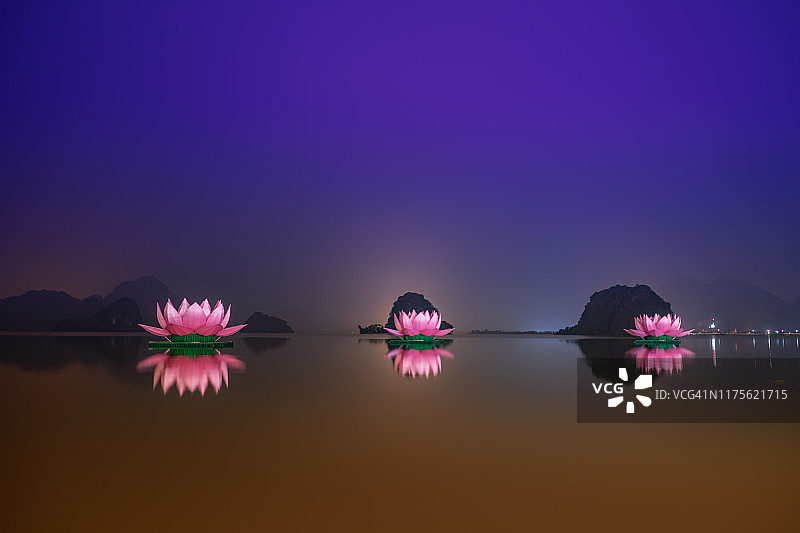 荷花灯笼图片素材