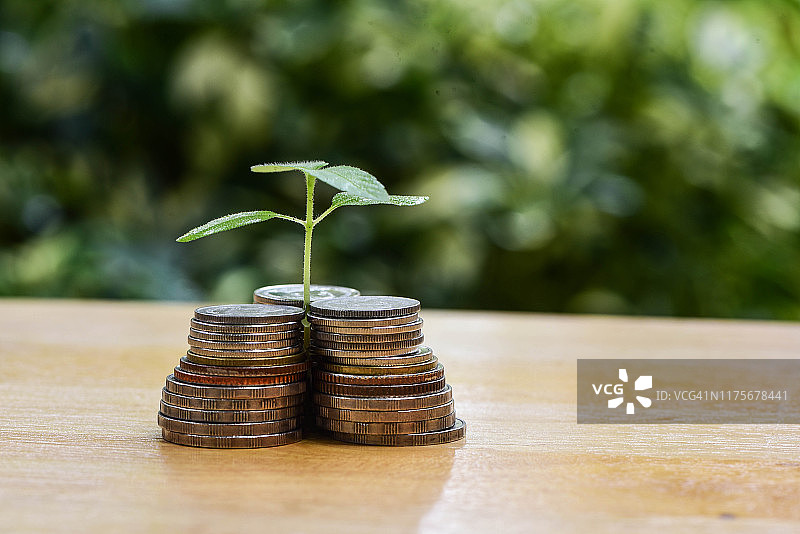 硬币、植树：储蓄与投资图片素材