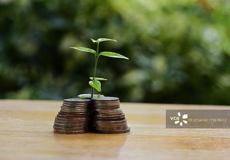 硬币、植树：储蓄与投资图片素材