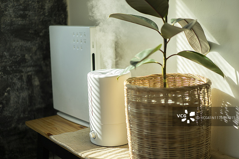 加湿器和空气净化树特写，窗边光线图片素材