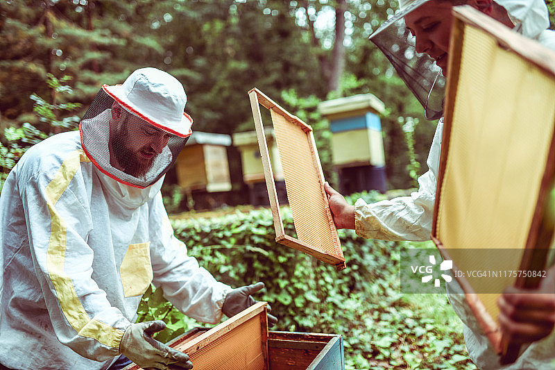 蜂农工作场景图片素材