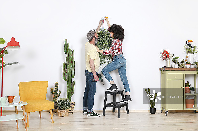 情侣在家中墙上悬挂植物图片素材