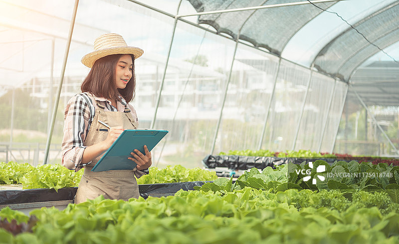 在大型温室里用幼苗盆栽的年轻女园丁图片素材