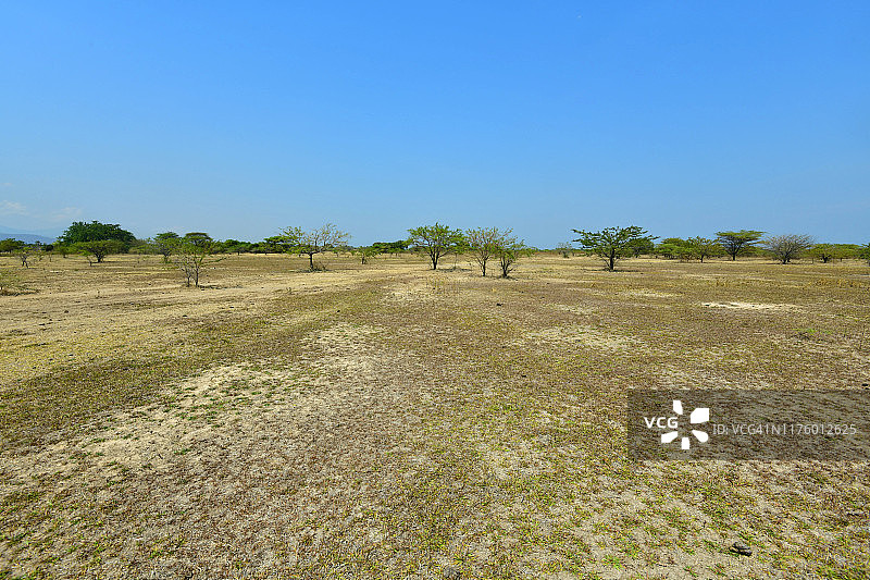 过度放牧区域图片素材