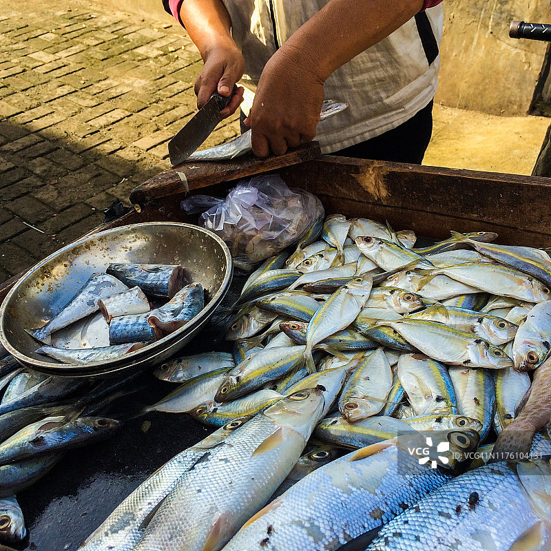 虱目鱼销售商图片素材