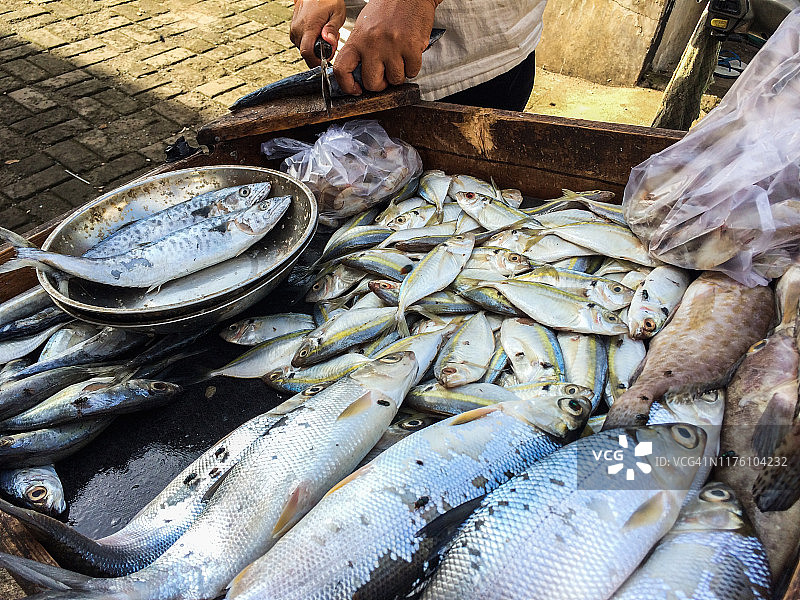 虱目鱼销售商图片素材
