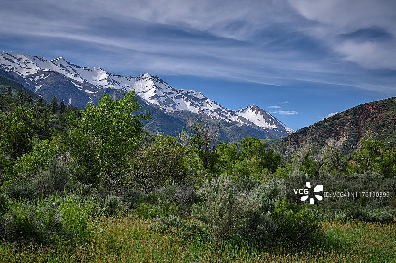 犹他州尼腓附近尼波山环线景观公路的瓦萨奇山脉图片素材