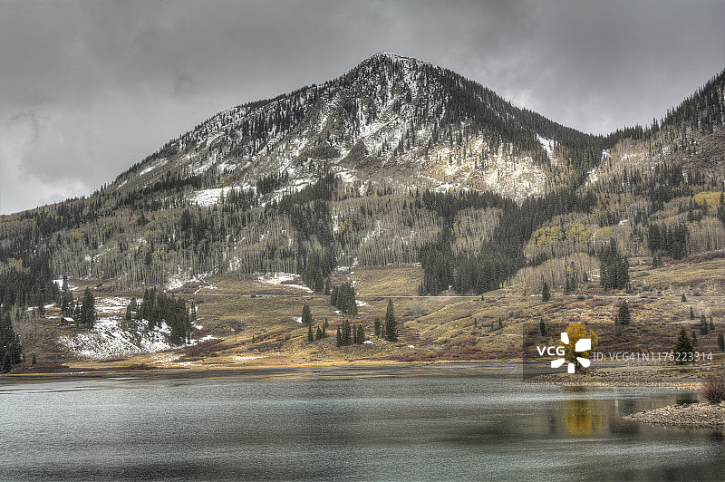 山区鳟鱼湖上的一棵黄色树木图片素材