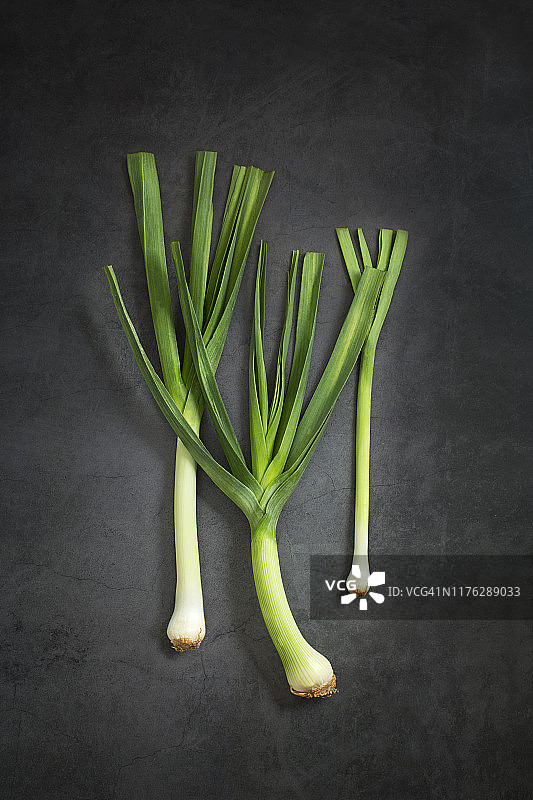 乡村忧郁背景下的韭葱图片素材