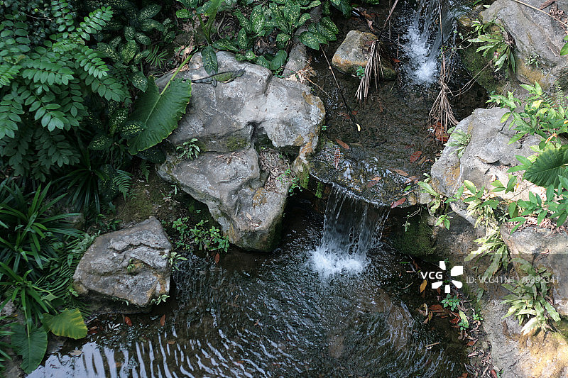 公园里的瀑布图片素材