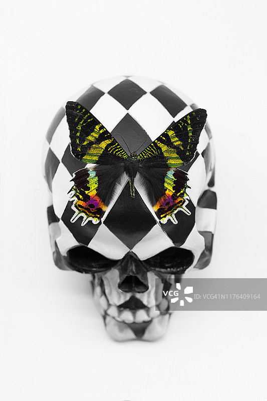 万圣节黑白骷髅图片素材